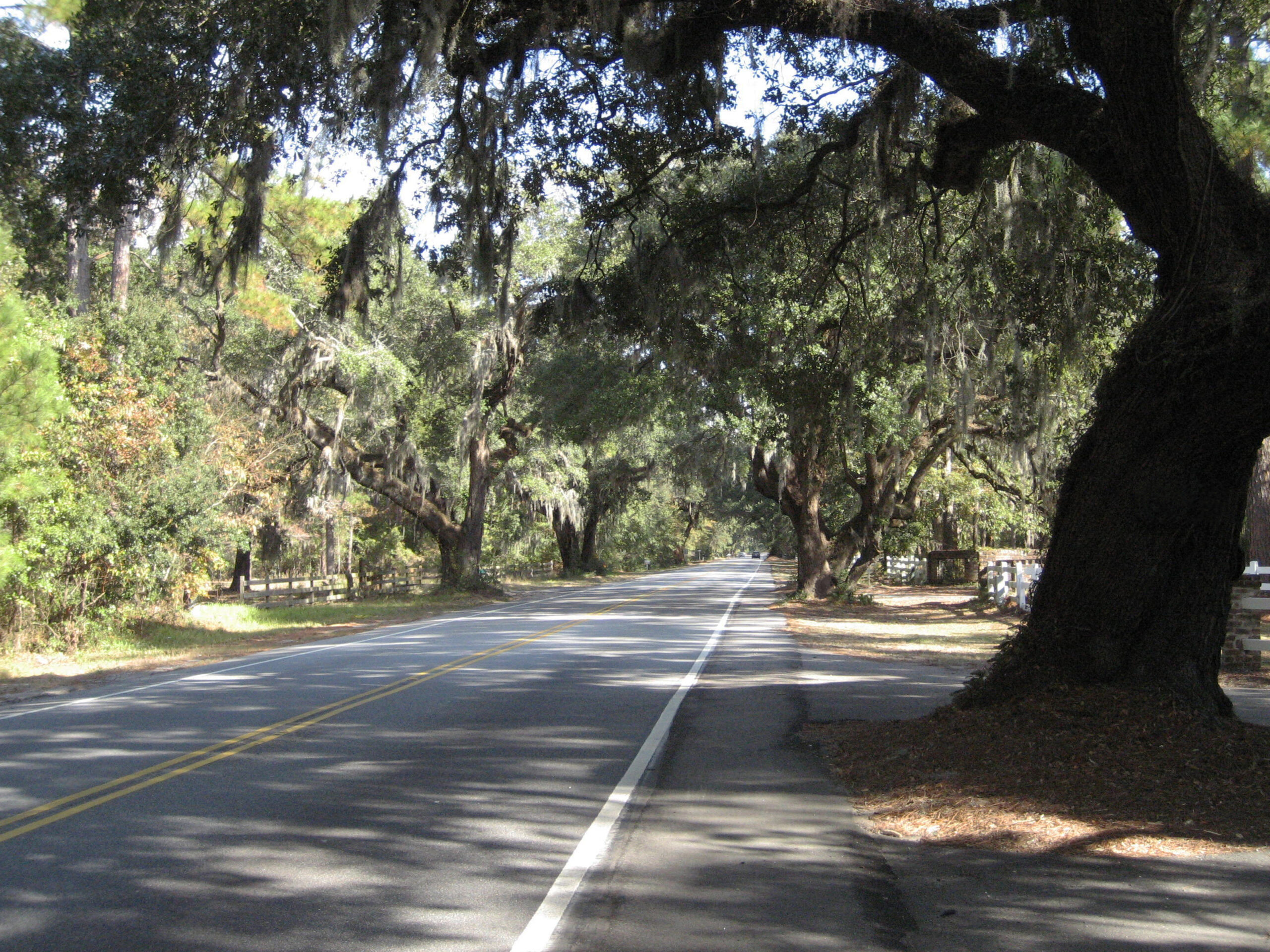 Scenic May River Road in Bluffton, South Carolina